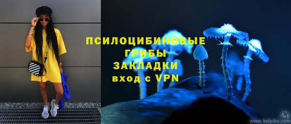 дурь Нефтегорск